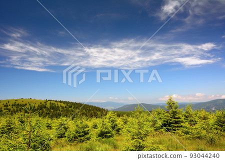 Jeseniky mountains landscape in summer 93044240