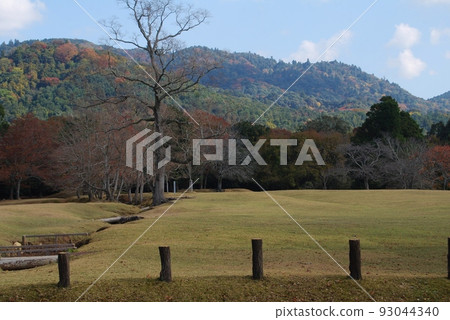 奈良公園風景在秋天 93044340