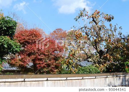 秋天的花園風景 93044341
