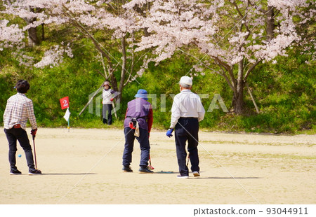 Elderly people enjoying gateball under the cherry blossoms in full bloom 93044911
