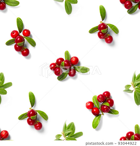 Lingonberry seamless pattern on white background. Fresh cowberries or cranberries with leaves as seamless pattern for textile, fabric, print 93044922