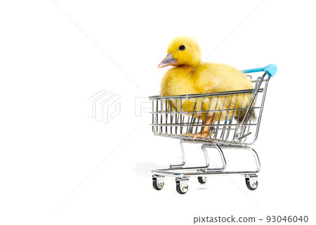 Little yellow ducklings in shopping carts on white background. Little yellow ducklings in shopping carts on white background. 93046040