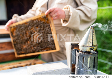 Bee smoeker and beekeeper in protective suit pulls out a honey frame with bees from a wooden hive. Bee smoeker and beekeeper in protective suit pulls out a honey frame with bees from a wooden hive. 93046515