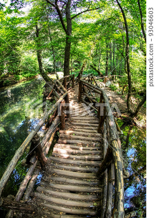 Wooden footbridge in forest at .Strandzha nature park in Bulgaria Wooden footbridge in forest at .Strandzha nature park in Bulgaria 93046603