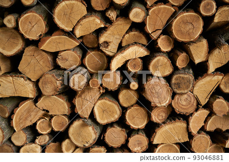 Tree trunks cut background. Wall decoration of cut tree for interior decoration Tree trunks cut background. Wall decoration of cut tree for interior decoration 93046881