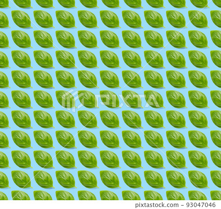 Italian Basil leaf herb seamless pattern on blue background, Creative seamless pattern made from fresh green basil flat lay layout. Italian Basil leaf herb seamless pattern on blue background, Creative seamless pattern made from fresh green basil flat lay layout. 93047046
