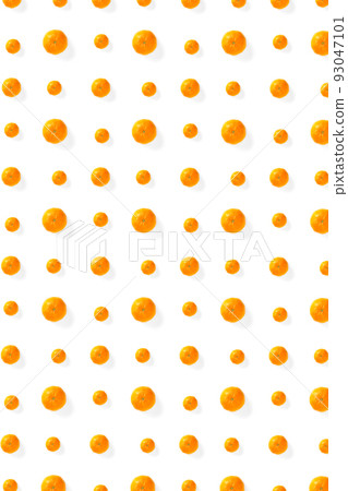 Isolated tangerine citrus collection background. Whole tangerines or mandarin orange fruits isolated on white background. Isolated tangerine citrus collection background. Whole tangerines or mandarin orange fruits isolated on white background. 93047101