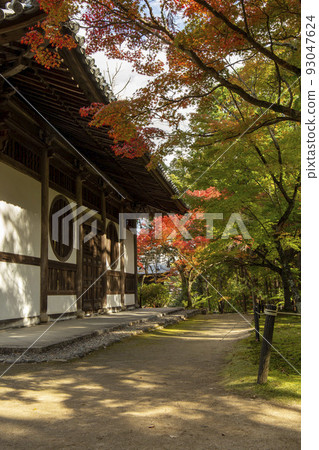 Takarafukutera 93047624