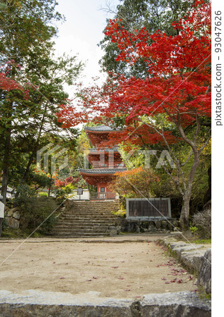 三重塔和秋葉 93047626