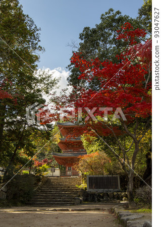 秋天的法富寺 秋天的法富寺 93047627