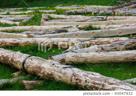 forged steel stripe connection of wooden log beams for roof support girder framework laid on green grass at summer day forged steel stripe connection of wooden log beams for roof support girder framework laid on green grass at summer day 93047832