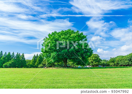 Shonai Ryokuchi Park, full of spacious greenery <Nagoya City, Aichi Prefecture> 93047992