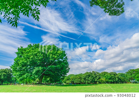 莊內陸口公園<愛知縣名古屋市> 93048012