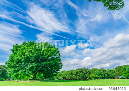 莊內陸口公園<愛知縣名古屋市> 93048013