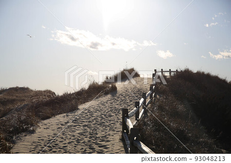 Beach in Watchhill, Rhode Island, USA 93048213