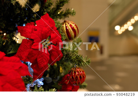 一棵樹站在建築物的大廳裡 93048219