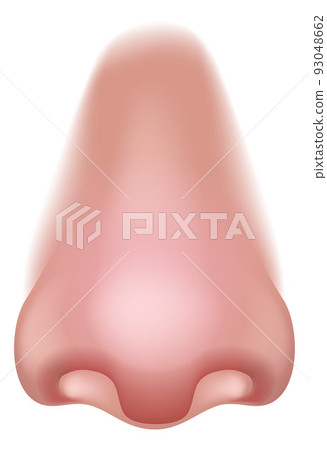 Nose Five Senses Human Body Part Sense Organ Icon 93048662