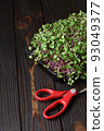Fresh microgreens close up on wooden rustic dark background. Growing sprouts for salad 93049377