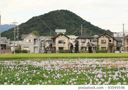 Mt. Unebi/Mausoleum of Emperor Jimmu [Kashihara City, Nara Prefecture] 93049596