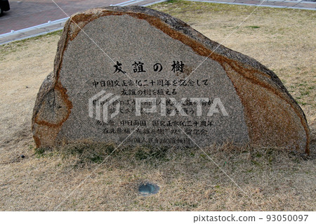 神戶市中央區鳩葉町美利堅公園友誼樹紀念碑 93050097