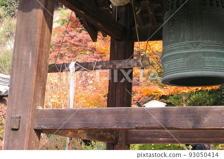三室戶寺的紅葉/寺鐘[京都府宇治市] 93050414