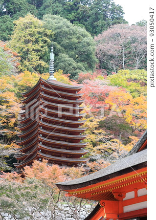 秋葉，坦桑神社[櫻井市，奈良] 93050417