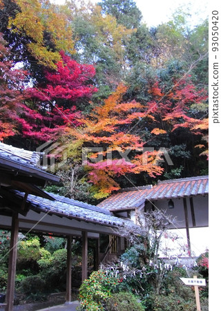 秋葉山科毗沙門堂[京都府京都市] 93050420