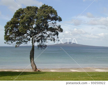 A distant island and a tree by the sea 93050922