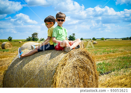 Two little boy stand among round haystack. Field with round bale Two little boy stand among round haystack. Field with round bale 93051621