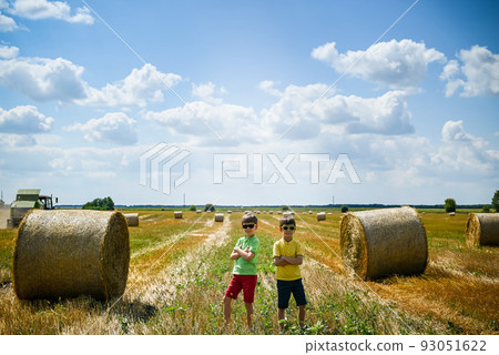Two little boy stand among round haystack. Field with round bale 93051622