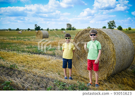 Two little boy stand among round haystack. Field with round bale 93051623