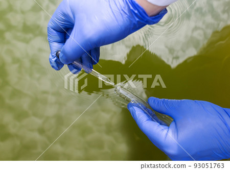 Water sample. Checking the condition of rivers or natural lakes. Water test for chemicals, bacteria, harmful substances, radiation. Collection of material in a test tube for further research. Water sample. Checking the condition of rivers or natural lakes. Water test for chemicals, bacteria, harmful substances, radiation. Collection of material in a test tube for further research. 93051763