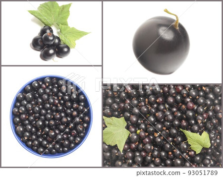 Collage with Black currants top view 93051789