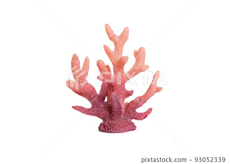 Pink decorative coral isolated on white background. perspective view Pink decorative coral isolated on white background. perspective view 93052339