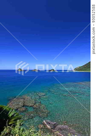 Tategami Island in West Komi, Amami Oshima 93052588