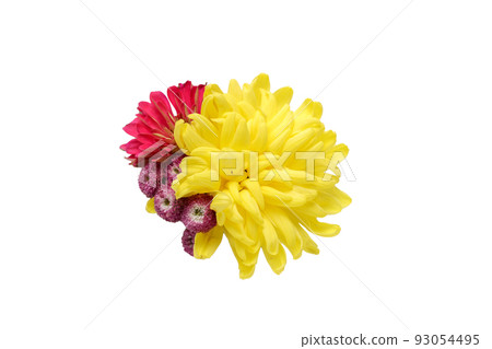 Chrysanthemum and Zinnia Bouquet Chrysanthemum and Zinnia Bouquet 93054495