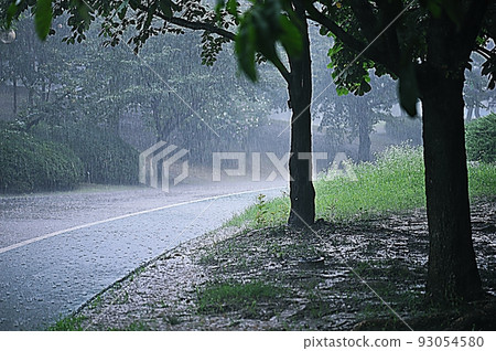 rainy day park scenery rainy day park scenery 93054580