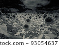 dark sunflower 93054637