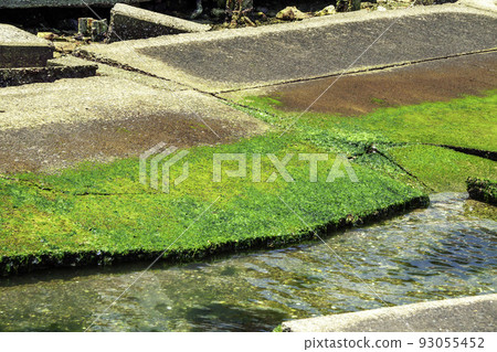神戶港地震紀念公園 神戶港地震紀念公園 93055452