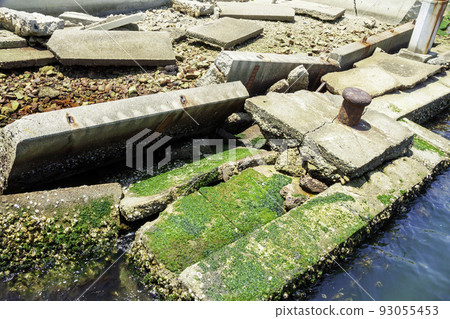 神戶港地震紀念公園 93055453