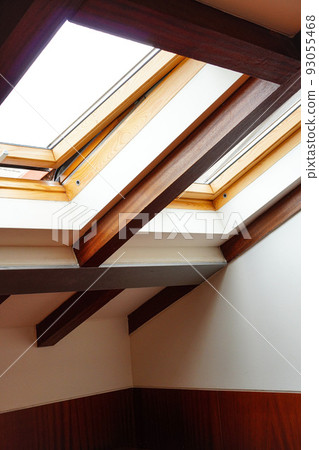 light skylight 93055468