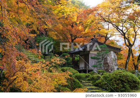 若狹小濱萬德寺的秋天 93055960