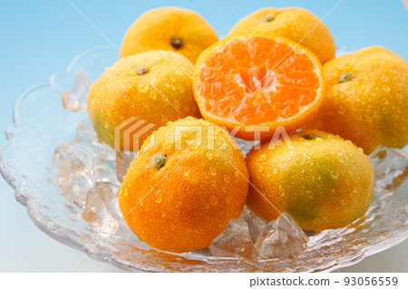 House mandarin orange studio shot 93056559