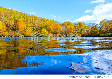 千人池(笹嶺高原)的紅葉 千人池(笹嶺高原)的紅葉 93057326