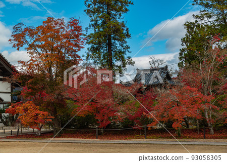 #Hofukuji #Iyama Hofukuji禪宗與畫家雪州有關 93058305