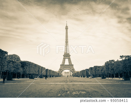 巴黎埃菲爾鐵塔烏賊屬 93058411