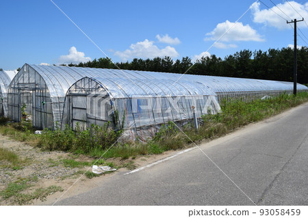 Greenhouse greenhouse cultivation Greenhouse greenhouse cultivation 93058459