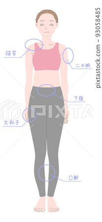 豐滿的女人全身插圖素材 豐滿的女人全身插圖素材 93058485