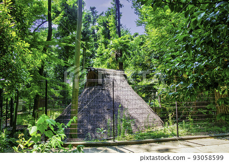 東京代代木八幡宮境內的代代木八幡遺址（繩文時代的坑居） 93058599