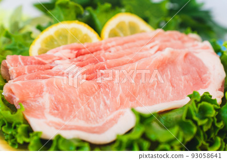 豬里脊肉 93058641